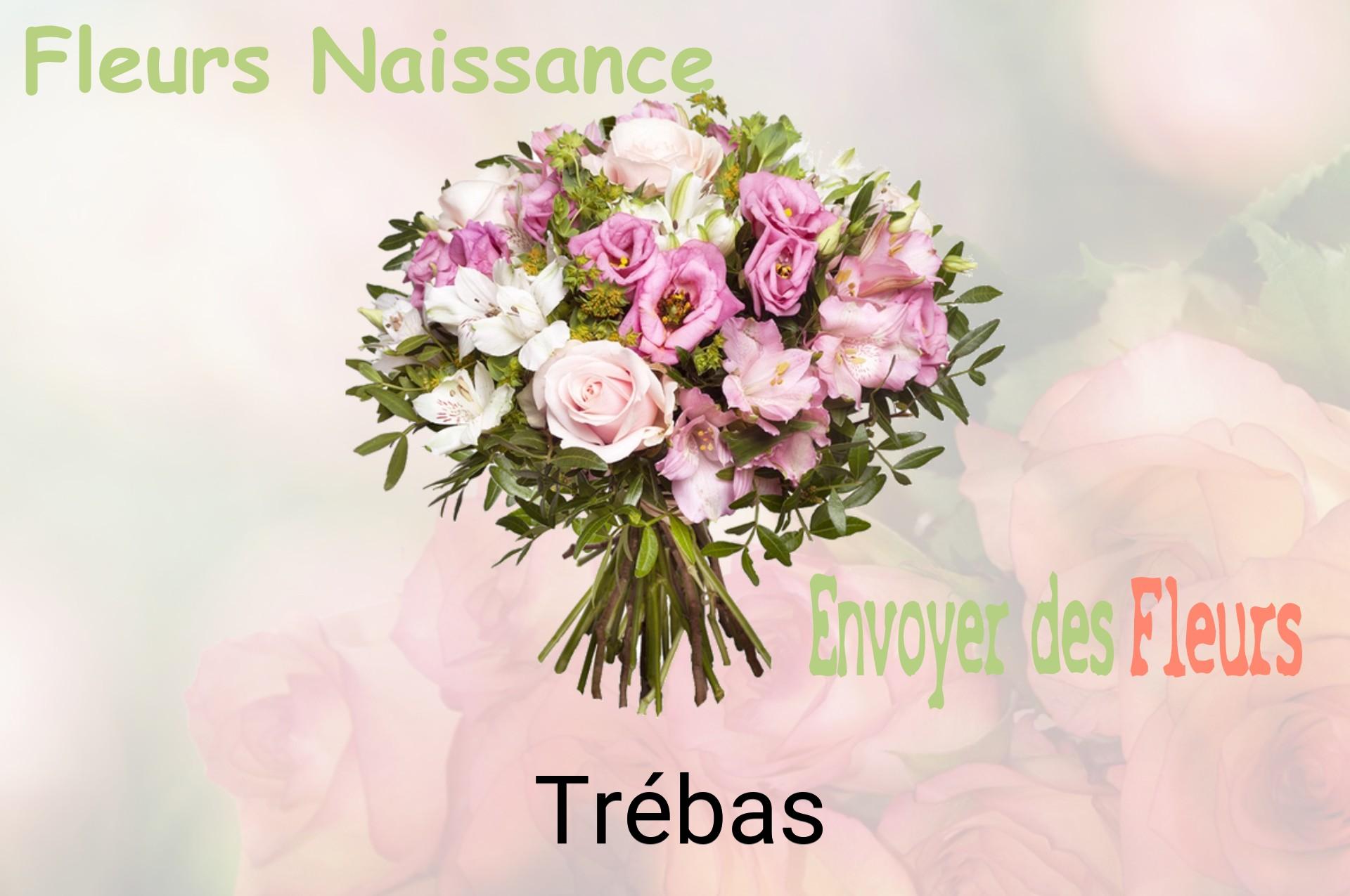Bouquet de fleurs de naissance livré à Trébas
