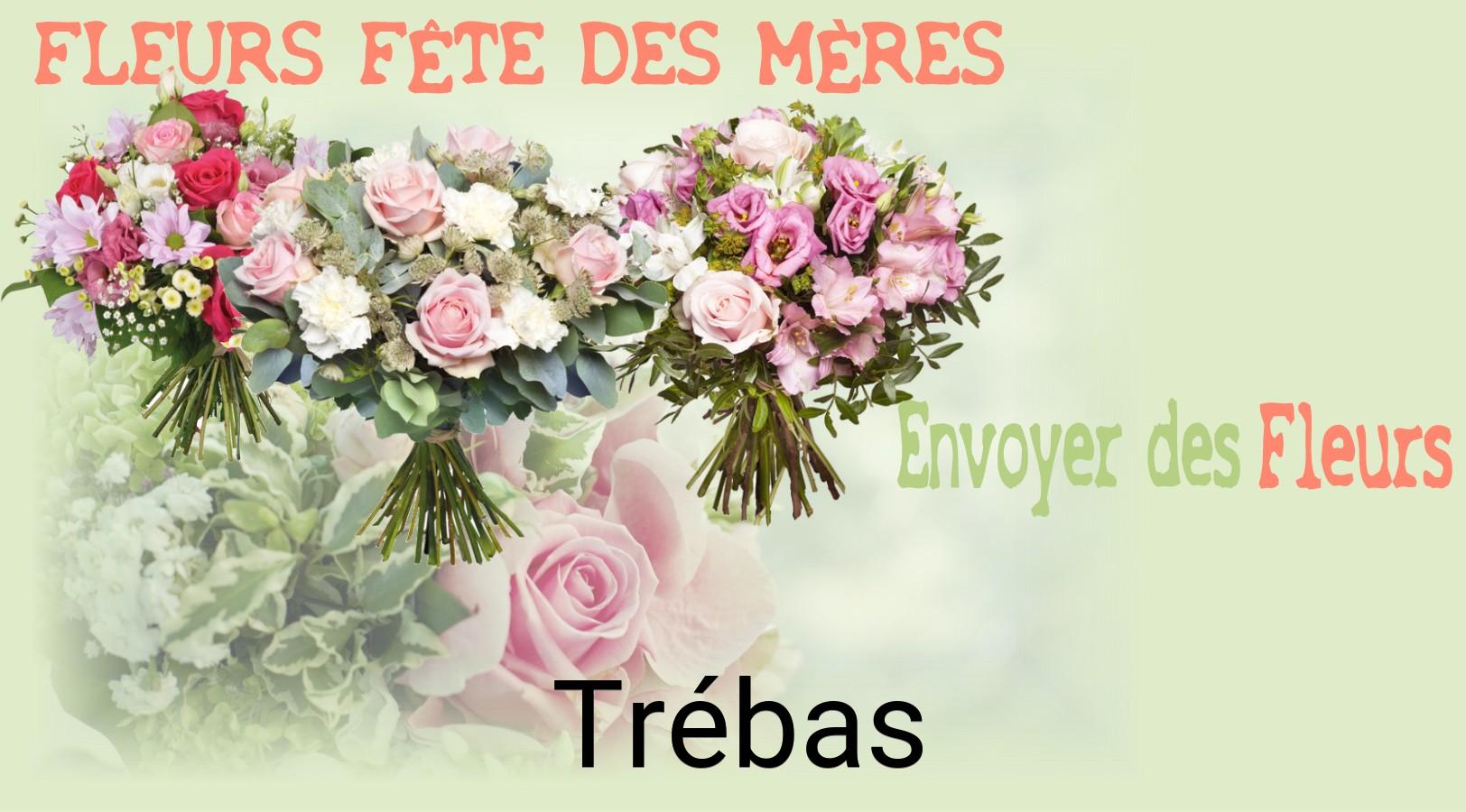Bouquet de Fête des Mères livré à Trébas